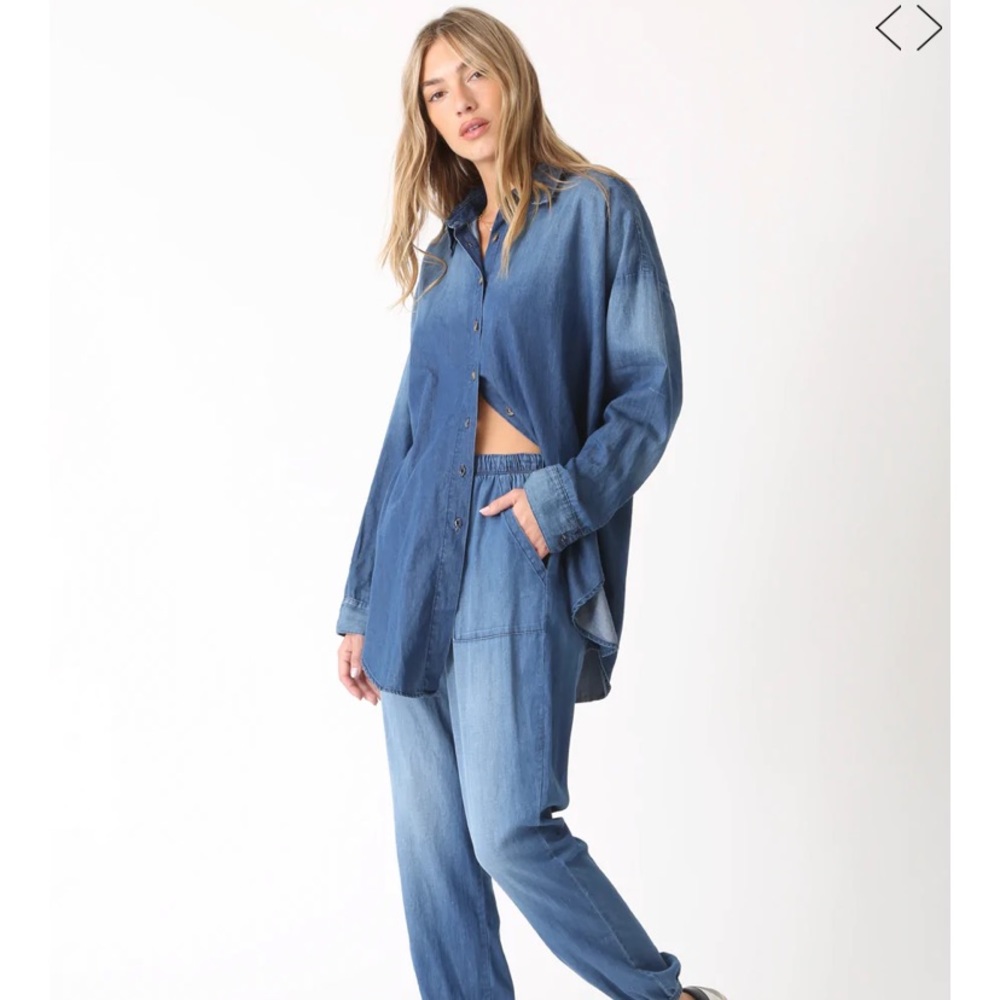 Electric and Rose Hendrix denim button down